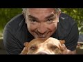 7 Reasons Why You Should Never Listen To The Dog Whisperer