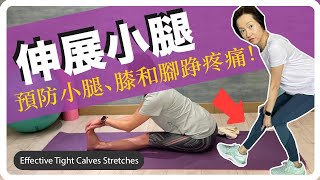 正確伸展小腿,預防小腿抽筋, 膝和足底疼痛. Correct Calves stretches prevent calves, knees &foot pain. 中文/Eng sub[Alison]