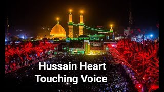 Hussain Heart Touching Voice TikTok | Hussain Sad Voice