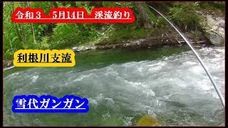 令和３  5月14日  渓流釣り  利根川支流   雪代ガンガン