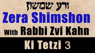 Zera Shimshon Ki Tetzei #3 5779 - Rabbi Zvi Kahn