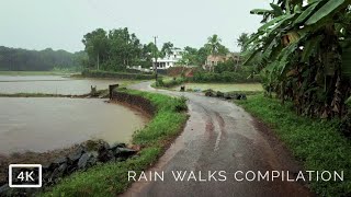 3 Hours of Walking in Rain through the paddy field roads in my village | Relaxing ASMR Sleep sounds