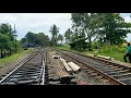 live dog run over dog almost hit by rajarata rejini express