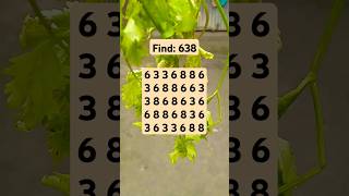 Observation Visual Test: 5 Seconds For You To Spot 638. Try Your Skills! #search #puzzle #shorts