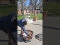 Ashes for Ash Wednesday