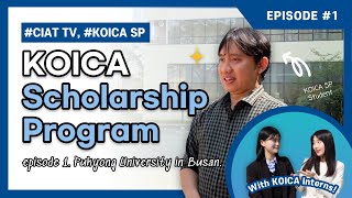 Life as a KOICA Scholarship Student 👩‍🎓 I Pukyong National University I Busan 🌊