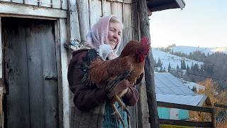 Difficult Life of an 82-Year-Old Grandmother Living in the Mountains Far from Civilization