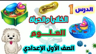 الخلايا والحياة الدرس الاول علوم سنة اولى اعدادى الفصل الدراسي الاول 2025