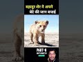 बहादुर शेर की कहानी देखिए क्या हुआ animals hindistoriesanimals youtubeshorts