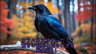 カラスは天才だった！？驚きの知能と知られざる秘密5選！ #動物雑学 #カラス #鳥 #面白い雑学 #カラスと神話