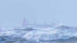 IJmuiden 8 bft. Pilot at work, big ship, big waves.