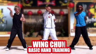 Wing chun basic hand training