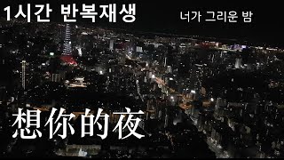 1 Hour 【想你的夜】 니가 그리운 밤 - 关喆 (관철) / 《보이스오브차이나》 출신의 절절한 중국노래 (가사, 병음, 해석)