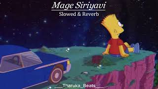 Mage siriyavi || මගේ සිරියාවී (Centigradz) Slowed \u0026 Reverb @DenLionTV