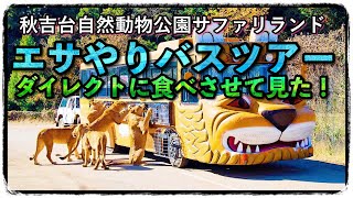 秋吉台自然動物公園サファリランド  リアルエサやりバス🚌ツアー Akiyoshidai Natural Zoological Park Safari Land