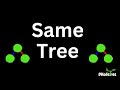 Same Binary Tree | LeetCode 100 - Check if Two Trees are Identical or Not 🌳 🌲 Python