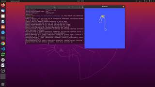 Turtle sim random walk