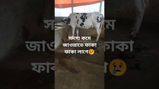 কার অভাব কেউ পুরন করতে পারে না😢#AsiyaAyaan#shortvedio#utubeshort#cow😢😢😢