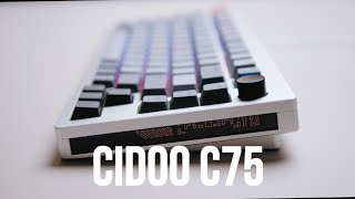 CIDOO「C75」