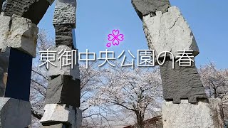 東御中央公園 🌸 2021年 春 桜  /長野県 東御市（とうみし）  （BGMあり）