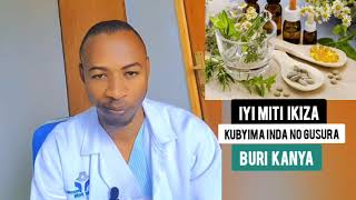 DORE IMITI N'UBURYO  BUGUKIZA INDWA ZO KUBYIMBA MUNDA NO GUHORA USURA BURI KANYA