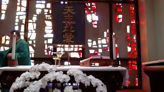 2/4/2025 平日彌撒 Daily Mass