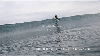 Life with the sea 【入野・浮鞭海岸】もう出会ってしまった今期最高の波！