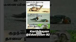 இதில் எது பெரிய இழப்பு.