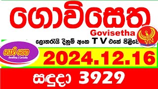 Govisetha 3929 2024.12.16 Today nlb Lottery Result අද ගොවිසෙත දිනුම් ප්‍රතිඵල  Lotherai dinum anka