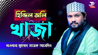 হিন্দিল অলি খাজা||নতুন মানকাবাত||বাংলা নাত||তারেক আবেদিন||খাজা||bagla nat||tareq abedin||taiba tv