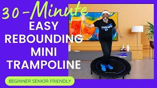 Easy Rebounder Mini Trampoline Exercise Workout | 30 Minutes | Beginner & Senior Friendly.