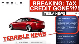 BREAKING:Tesla Losing Tax Credit?!?! Buy Now? Or Wait?
