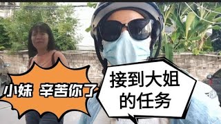 梅子收到接送任务，第一天上岗就差点“翻车”在大姐家暂住几天【梅子加油】