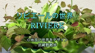 心地良い世界をデザイン　武蔵野散歩