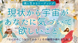 【🪐宇宙視点で読む🪐】なんでこうなってる？現状の意味を知りたくなったときに聴くメッセージ🕊️🌈　#魂と生きる #自己啓発 #宇宙 #オラクルカード #タロット #カードリーディング