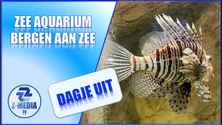 Dagje Uit: Het Zee Aquarium in Bergen aan Zee (4k)