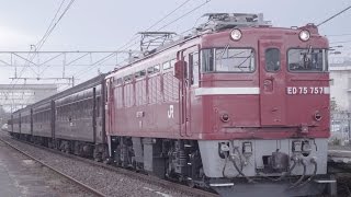 ED75牽引{レトロ花めぐり号}東北本線で運転 ＊警笛音量注意