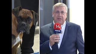 הכירו את פלוטו: הכלב של יעקב ברדוגו בהופעה ראשונה בטלוויזיה