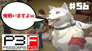 スルーされてるけど犬語翻訳するアイギス凄ない？『ペルソナ3フェス』♯56