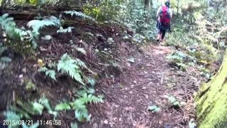 各務原　鳩吹山（カタクリ登山口）～せせらぎルート