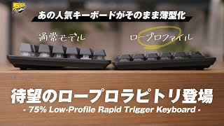 理想を全て詰め込んだあのラピトリキーボードがロープロに！これはマジでいいよ。 | VK720AL レビュー