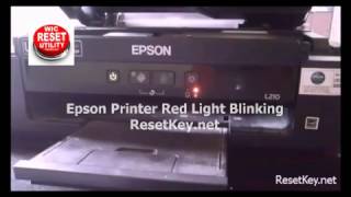 Free TRIAL WIC Reset Key - Reset Epson Red Light Blinking - Waste ink Counter