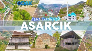 Samsun - Asarcık  |  ODAK SAMSUN