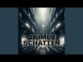 Schatten (Tekk Remix)