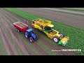 Potato Harvest  PLOEGER AR-4BX + Fendt & New Holland  Demijba  Van Peperstraten