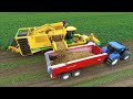 Potato Harvest | PLOEGER AR-4BX + Fendt & New Holland | Demijba / Van Peperstraten