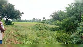 Agriculture Land for sale at Thippupatti , Dindigul