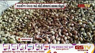 Jamnagar : એક મહિના બંદ રહ્યા બાદ ખુલ્યું હાપા માર્કેટિંગ યાર્ડ | Gstv Gujarati News