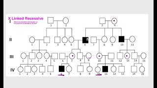 Calculating Probability in a Pedigrees