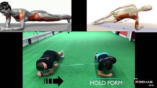 Partner Core Workout Series - Partner Plank Variations